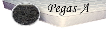 SPS+ Pegas - A 70x140x6