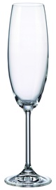 Šampanieša glāžu komplekts Bohemia Royal Crystal Gastro 40782, kristāls, 0.23 l, 6 gab.