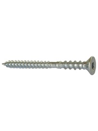 Lengikruvi 6x100 100tk/pk torx25 zn