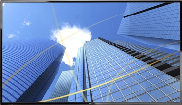 Monitorius Nec MultiSync E436