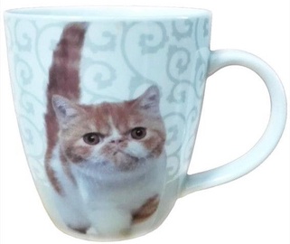 Shenzhen Sunnie Cup with Grumpy Cat 420ml
