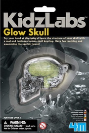 4M Glow Skull 3313