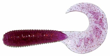 Tvisteris, 6cm