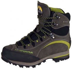 Auliniai batai La Sportiva Trango Trek Micro EVO GTX, žalia/pilka, 41