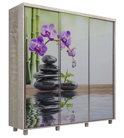 MN Orchid 3D Wardrobe w/ Sliding Doors Sonoma Oak