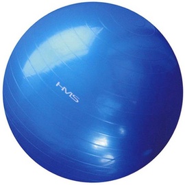HMS Gym Ball YB01 55cm Blue