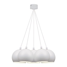 Domoletti Eva P249-5(A) Ceiling Lamp 5x40W E14 White (bojāts iepakojums)