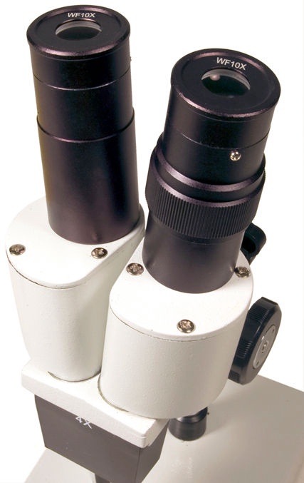 Mikroskoop Levenhuk 2ST