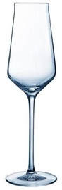 Šampanja klaas Chef and Sommelier Reval-Up Intense, 0.21 l, 6 tk