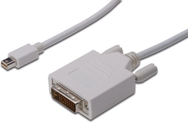 Адаптер Assmann Mini DisplayPort, DVI-D female, 2 м, белый