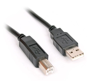 Kabelis Assmann USB 2.0 A M - mini USB B M, 3 m