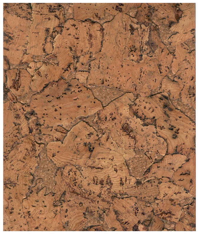 Пробковое покрытие Corksribas Condor Natural, 60x30x0.3 см