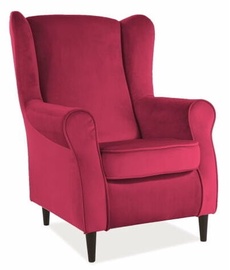 Signal Meble Baron Velvet Armchair Burgundy/Wenge