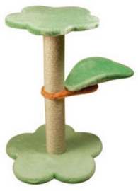 Record Quercia 66cm
