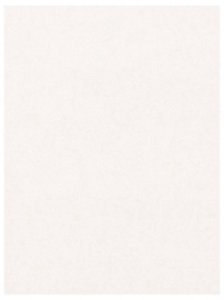 Apšuvums dēlis, 260 cm x 15.3 cm x 0.64 cm