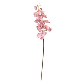 Искусственный цветок oрхидея, многоцветный, 770 мм