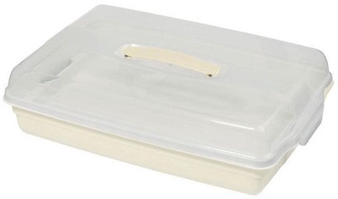 Curver Cake Transporting Box Rectangular 45x29,5x11,1cm Cream