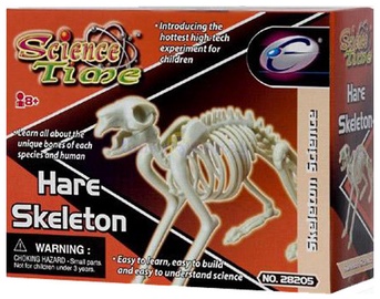 Eastcolight Hare Skeleton 28008/28205