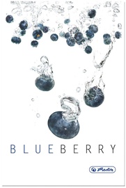 Herlitz Hardback Notebook A5 Fresh Fruit Blueberry