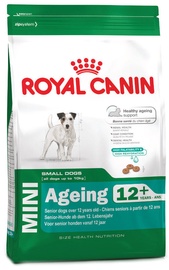 Royal Canin SHN Mini Ageing +12 800g