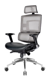 Chairman 726 Black