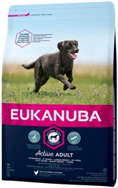 Сухой корм для собак Eukanuba Active Adult, курица, 15 кг