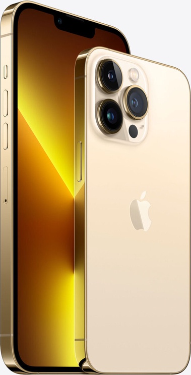 Mobiiltelefon Apple iPhone 13 Pro, kuldne, 6GB/256GB