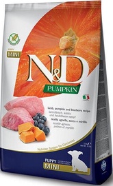 Farmina N&D Pumpkin Lamb & Blueberry Puppy Mini 2.5kg