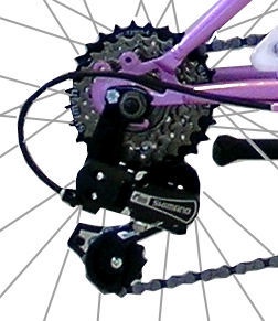 Vaikiškas dviratis, miesto Coppi CTB Lady, šviesiai violetinė, 20"