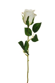 Искусственный цветок роза, белый/зеленый, 550 мм