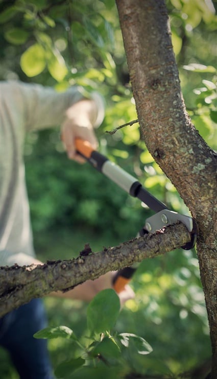 Секатор для веток для зеленых ветвей Fiskars 1020188, 80 см