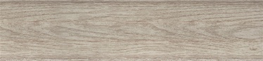 Grindjuostė 301 30004584, 2500 x 60 x 20 mm