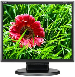 Monitorius NEC E171M Black