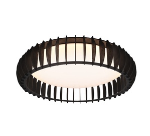 Valgusti lagi Trio Monte, 38 W, LED