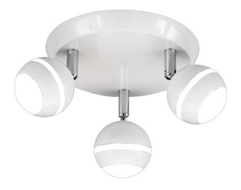 Griestu lampa Trio Plump Led 3.8W 3x350LM B