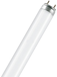 Osram Fluora Lamp 18W G13