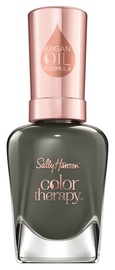 Sally Hansen Color Therapy Nail Polish 14.7ml 480