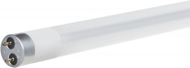 Lambipirn Actis ACS-T8LED10W-865 LED, T8, 10 W