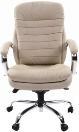 Chairman Executive 795 White