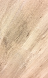 SPC Vinilinė grindų danga Domoletti WR34002