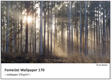 Fomei Jet Wallpaper 170 106.7cm x 30.5m Paper