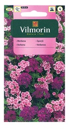 Verbēnas sēklas Vilmorin