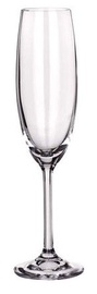 Banquet Degustation Champagne 220ml 6pcs