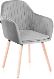 Homede Lacelle Chairs 2pcs Silver