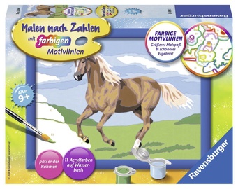 Ravensburger Painting By Numbers Horse 280193