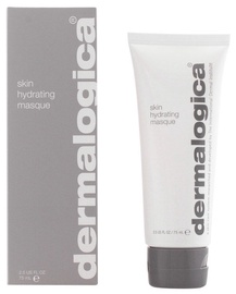 Dermalogica Skin Hydrating Masque 75ml