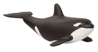 Rotaļlietu figūriņa Schleich Wild Life Baby Killer Whale 14836