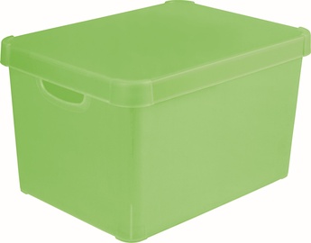 Curver Colors L Green