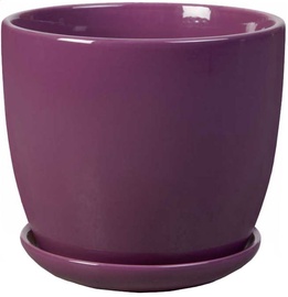 Puķu pods Polnix, violeta, Ø 130 mm