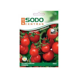 Vazoninių pomidorų sėklos Vilma, Sodo centras